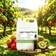 E Liquid Flavors Products Wholesale - MANROFUN-1 1