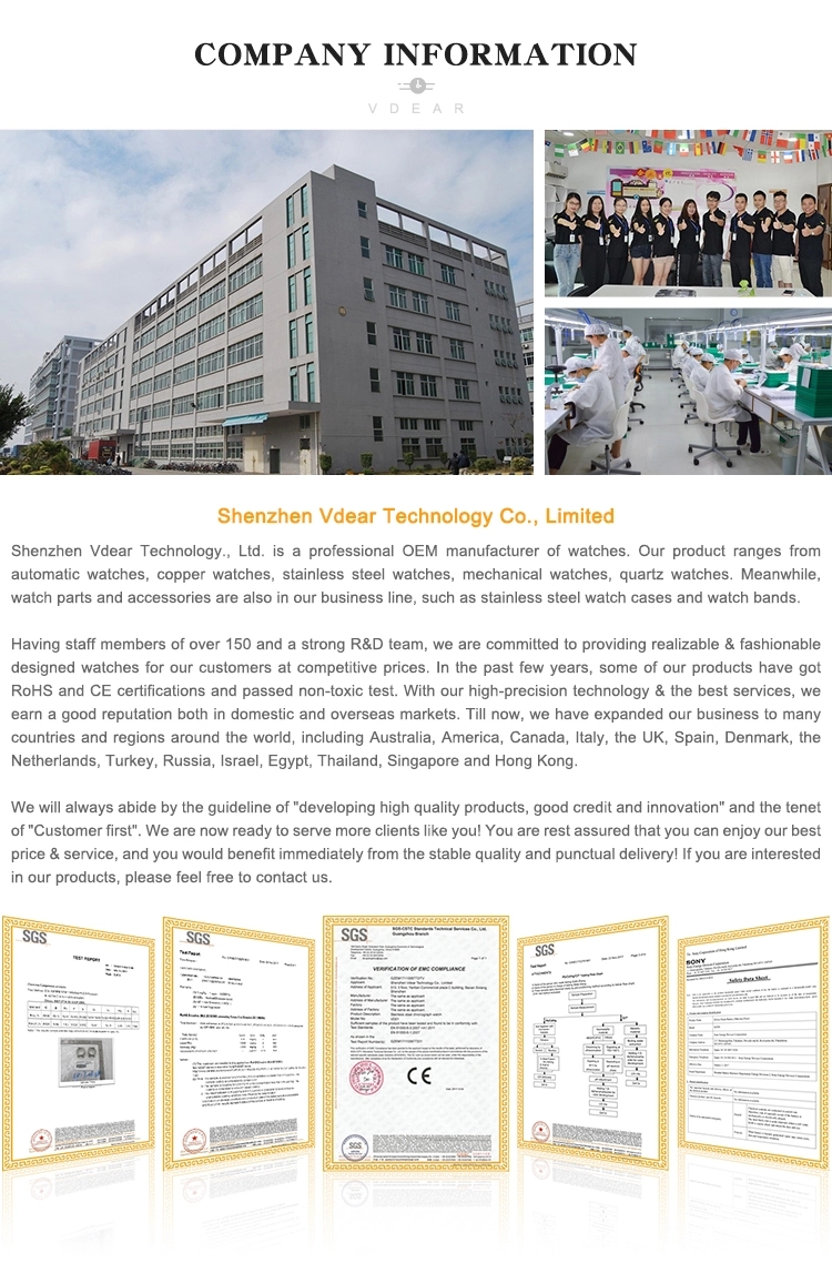 VDEAR - China custom luxury mechanical tourbillon watches skeleton men luxury brand automatic top Ungrouped 26