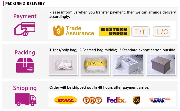 VDEAR - China custom luxury mechanical tourbillon watches skeleton men luxury brand automatic top Ungrouped 34