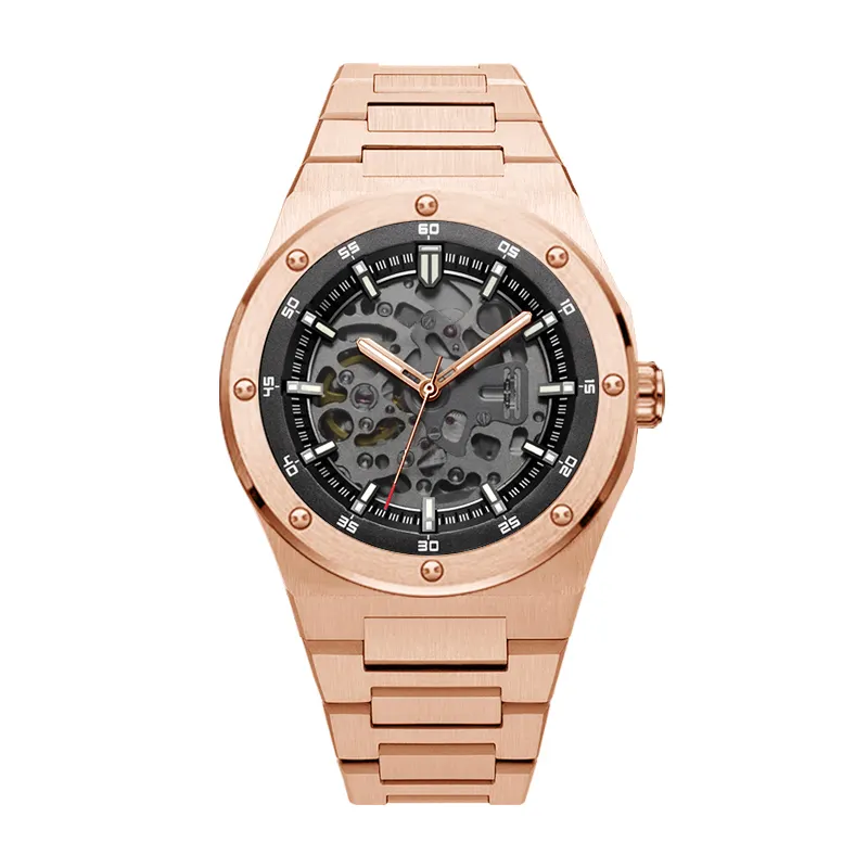 Custom Luxury Skeleton Automatic Watch for Men 4