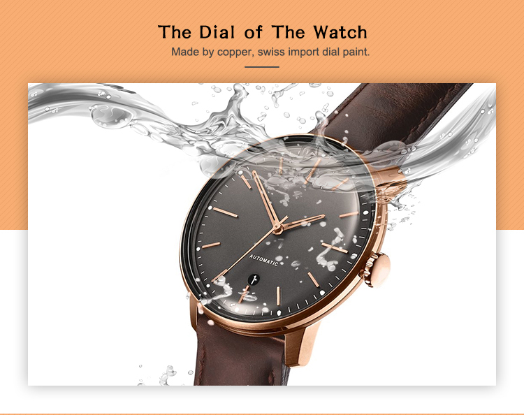 VDEAR - Dome Glass Best Luxury Leather Strap Minimalist Automatic Men Watch Automatic Watch For Men 12