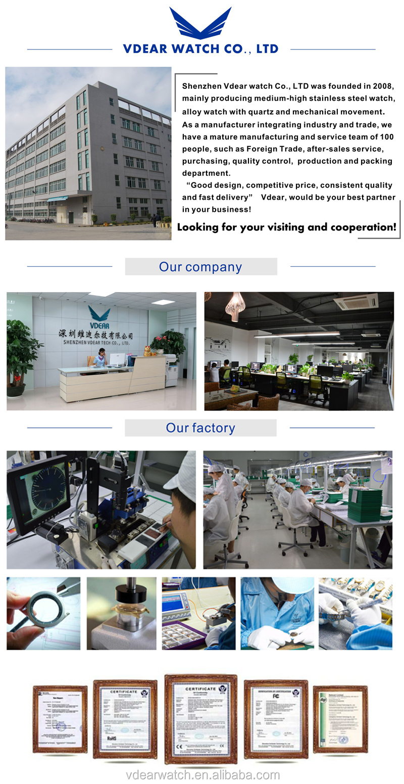 Design Luxury Brand Fashion Sapphire Crystal Custom Mens Diving Automatic Watch Winder Wrist Watches For Men