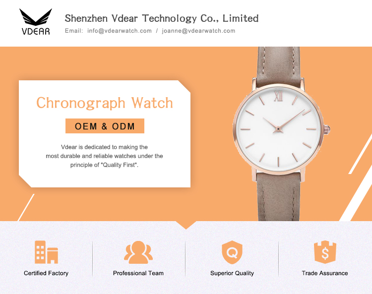 VDEAR - Custom Logo Leather Strap Stainless Steel Watches Women Wrist Luxury Watch Lady Quartz Watch 12