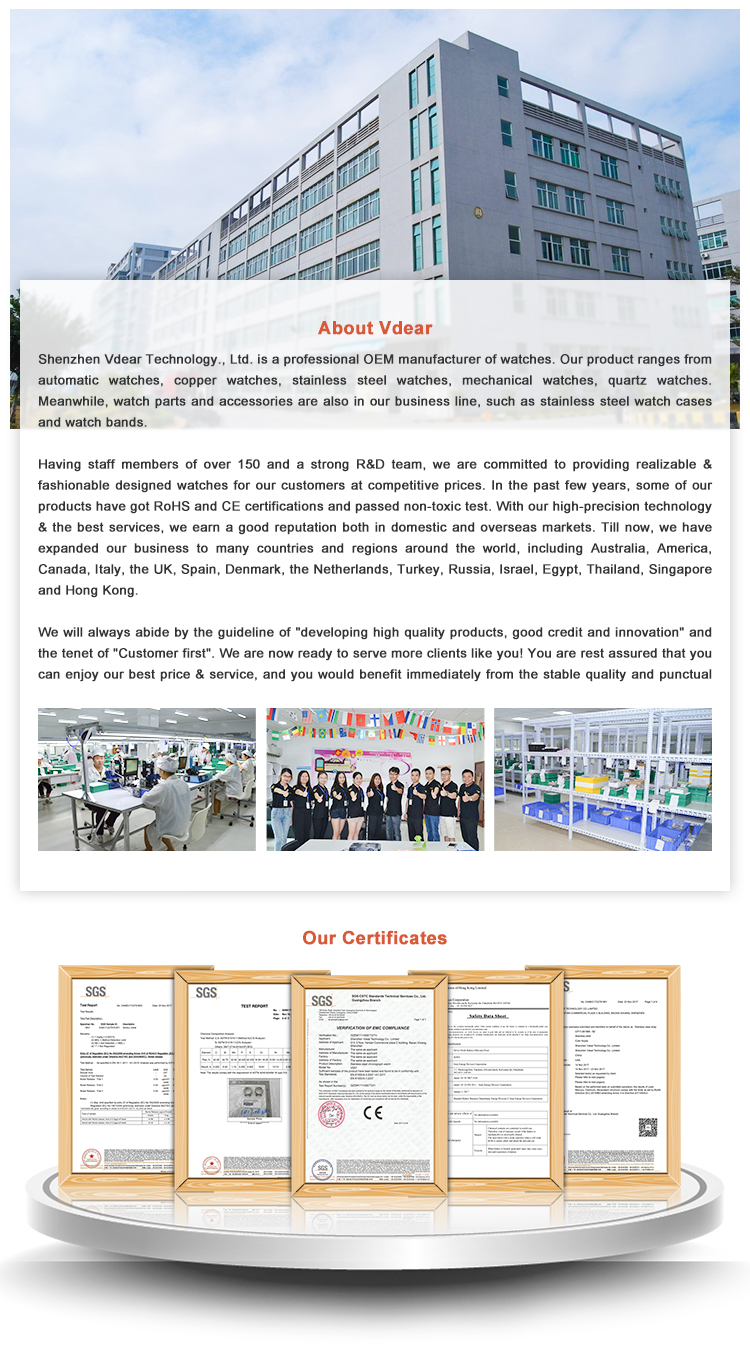 VDEAR - Produttore di orologi Gimto con marchio privato Orologio automatico da donna dal design semplice Oem con cinturino in pelle e altri 14