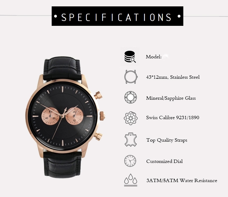 VDEAR - Men Luxury Brand Automatic Chronograph Watch Oem Japan Movement 316l Stainless Steel Watches Chronograph Watch 10