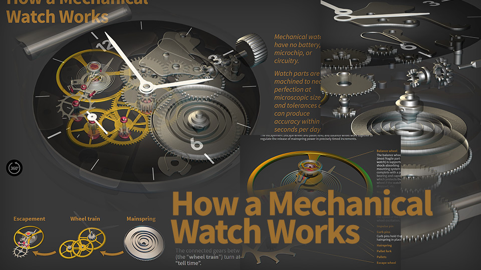 A Comprehensive Guide to Watch Movement Types 1