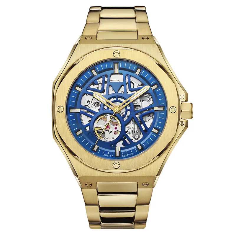 VDEAR Luxury Skeleton Automatic Wrist Watch 1