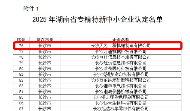 T-WORKS Re-awarded Hunan Provincial Specialized, Sophisticated, Special & New SME, Boosting Overseas Expansion 3
