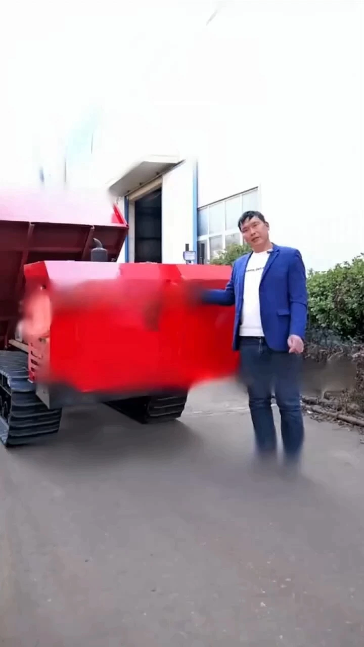 Wholesale Tracked dumper with good price - T-works 1