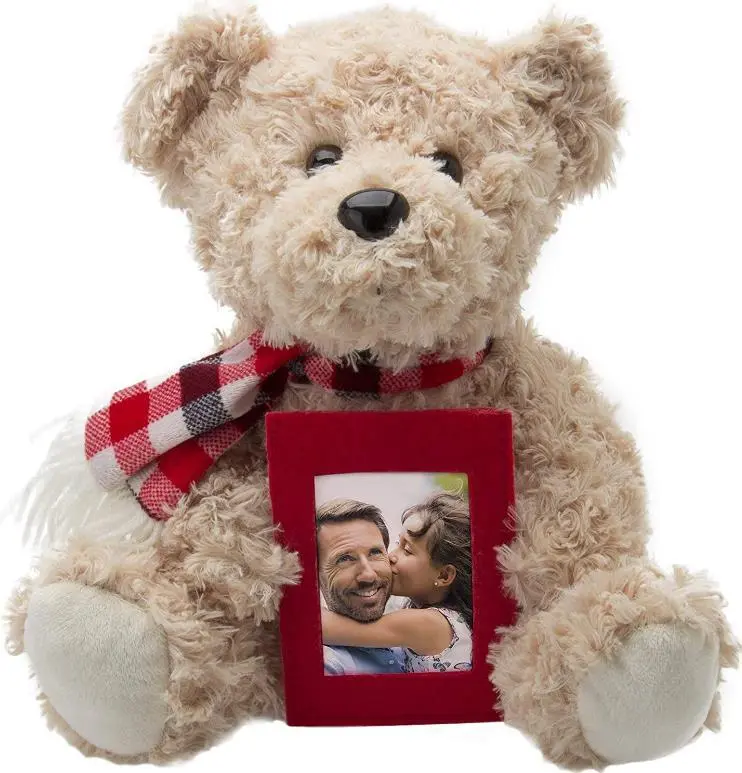 Custom Cute Plush Bear With Photo Frame Plush Teddy Bear Photo Frame pictures Baby Girl Boy Birth Gifts 1