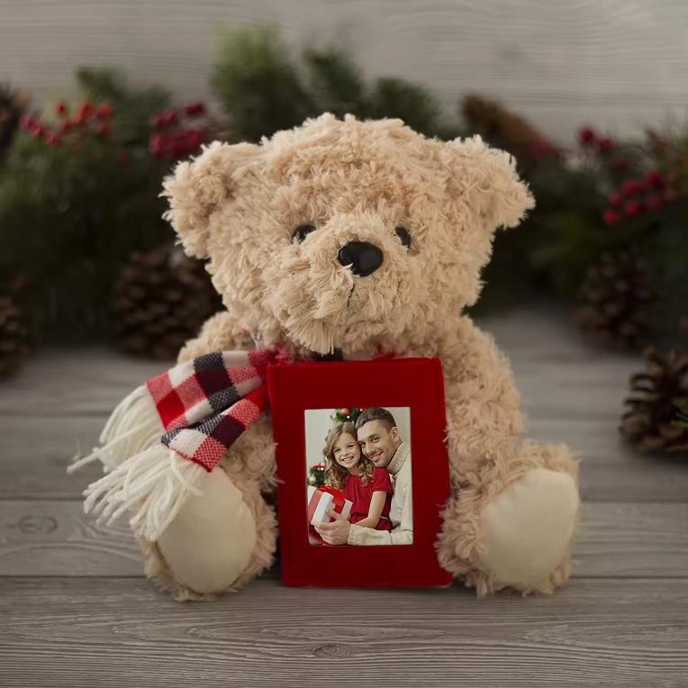 Custom Cute Plush Bear With Photo Frame Plush Teddy Bear Photo Frame pictures Baby Girl Boy Birth Gifts 8