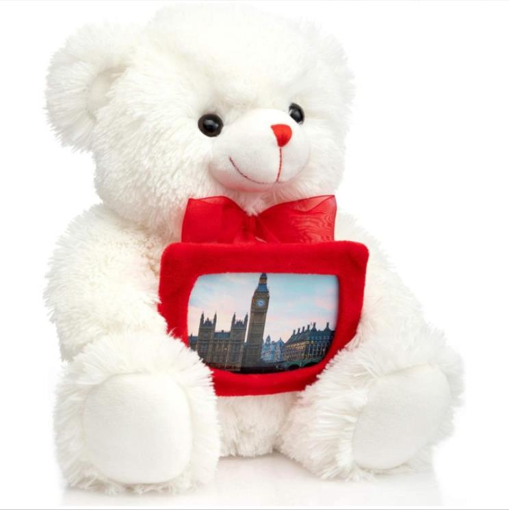 Custom Cute Plush Bear With Photo Frame Plush Teddy Bear Photo Frame pictures Baby Girl Boy Birth Gifts 6