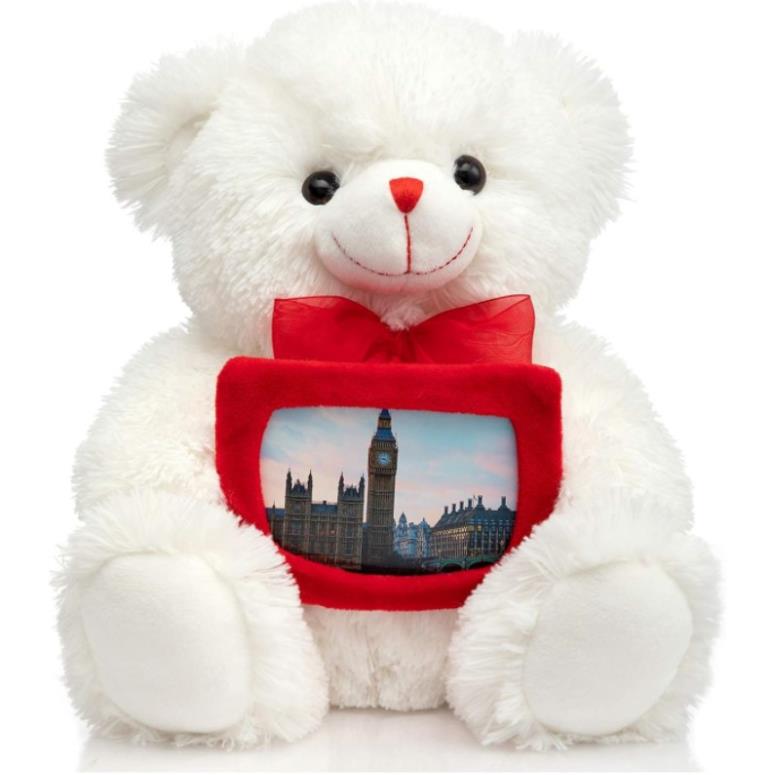 Custom Cute Plush Bear With Photo Frame Plush Teddy Bear Photo Frame pictures Baby Girl Boy Birth Gifts 7