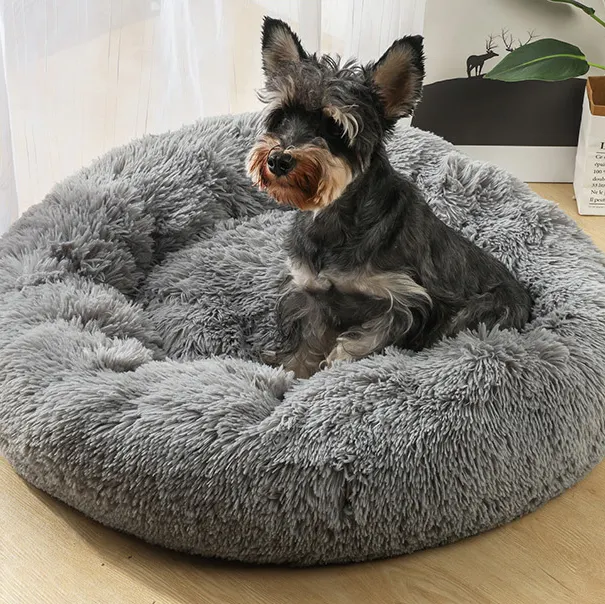 Yortoob | latest heartbeat teddy for puppy manufacturers 6