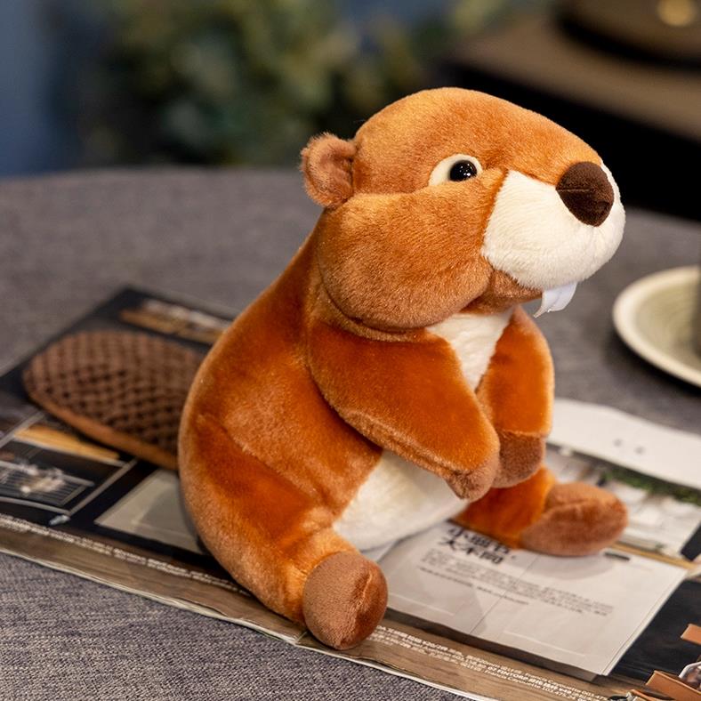 Dark Brown Cute simulation groundhog stuffed animal toys Beaver Plush Toy Wild Animals Plushie 6