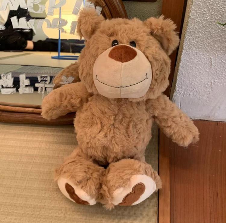 Oso de peluche marrón personalizado de alta calidad, muñeco de peluche para bebés y niños, muñeco para dormir, regalos 12