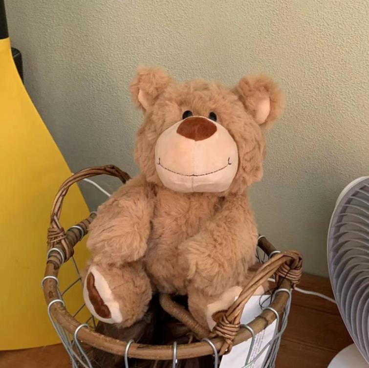 Oso de peluche marrón personalizado de alta calidad, muñeco de peluche para bebés y niños, muñeco para dormir, regalos 10