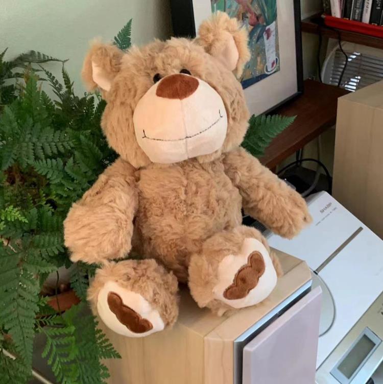 Oso de peluche marrón personalizado de alta calidad, muñeco de peluche para bebés y niños, muñeco para dormir, regalos 11