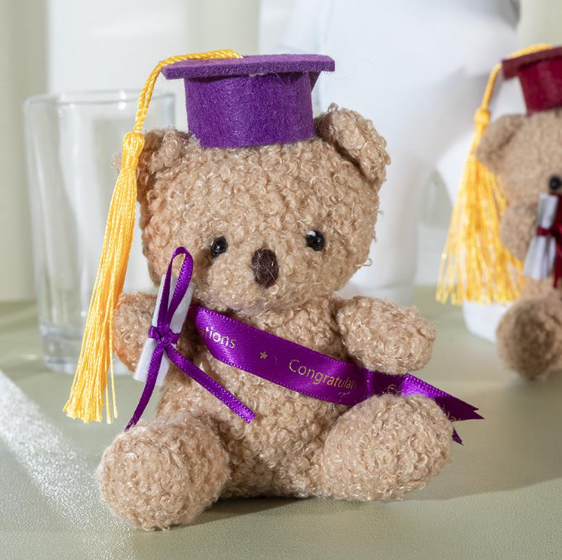 Customized  Graduation Teddy Bear - Plush Toy Pendant Souvenir Gift for Graduation 11