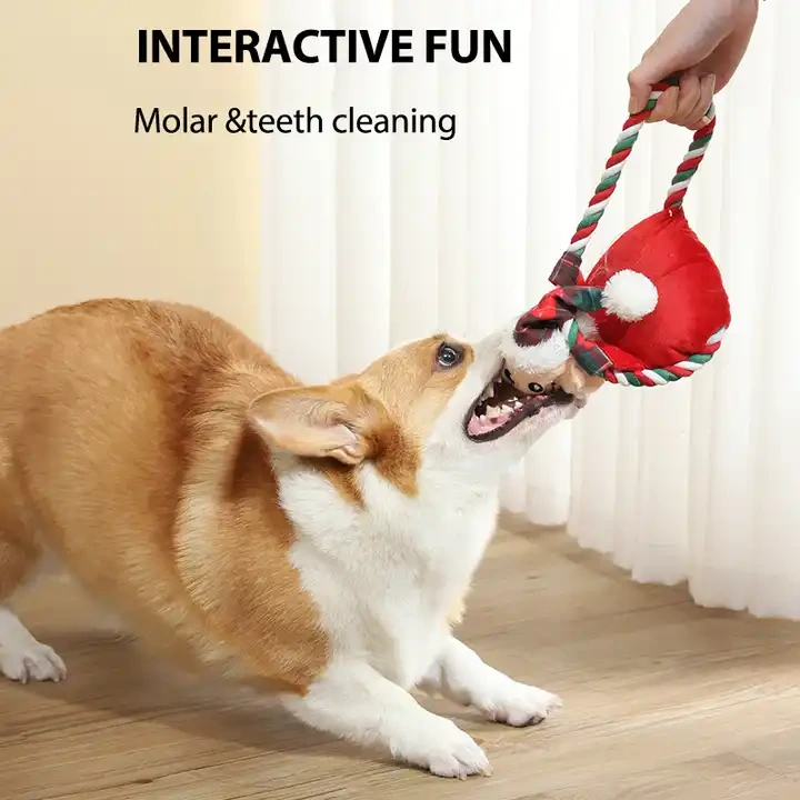 Factory Direct beejay custom Eco Friendly cute food shape squeaky Interactive puppy dog plush toy balls Pet chew dog Toy 1