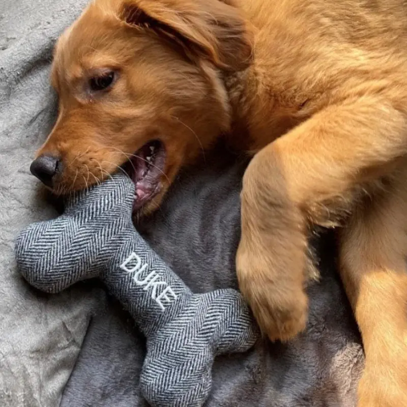 Bone Fabric Dog Activity Toy Customized Dog Christmas Toys Pet Gifts Molar Stick Toy for Dog 3