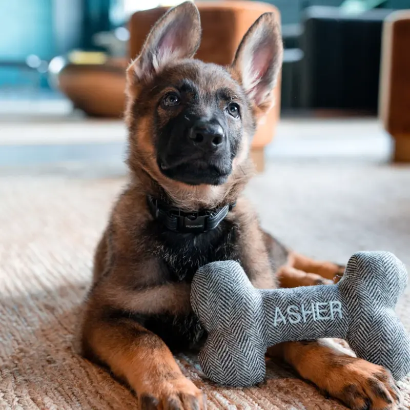 Bone Fabric Dog Activity Toy Customized Dog Christmas Toys Pet Gifts Molar Stick Toy for Dog 2