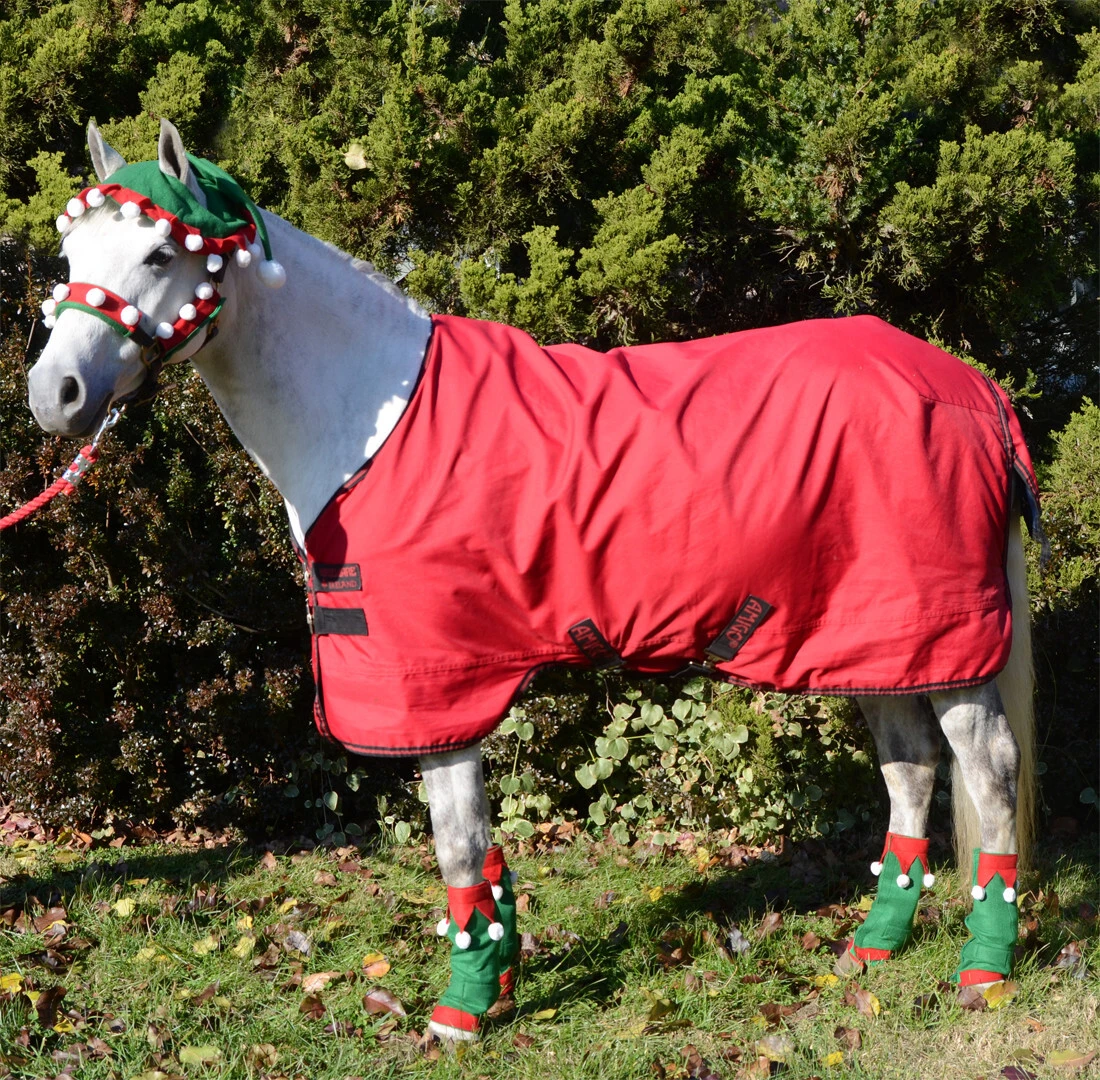 Holiday Horse Wear, Set Of Four Elf Leg Wraps 1