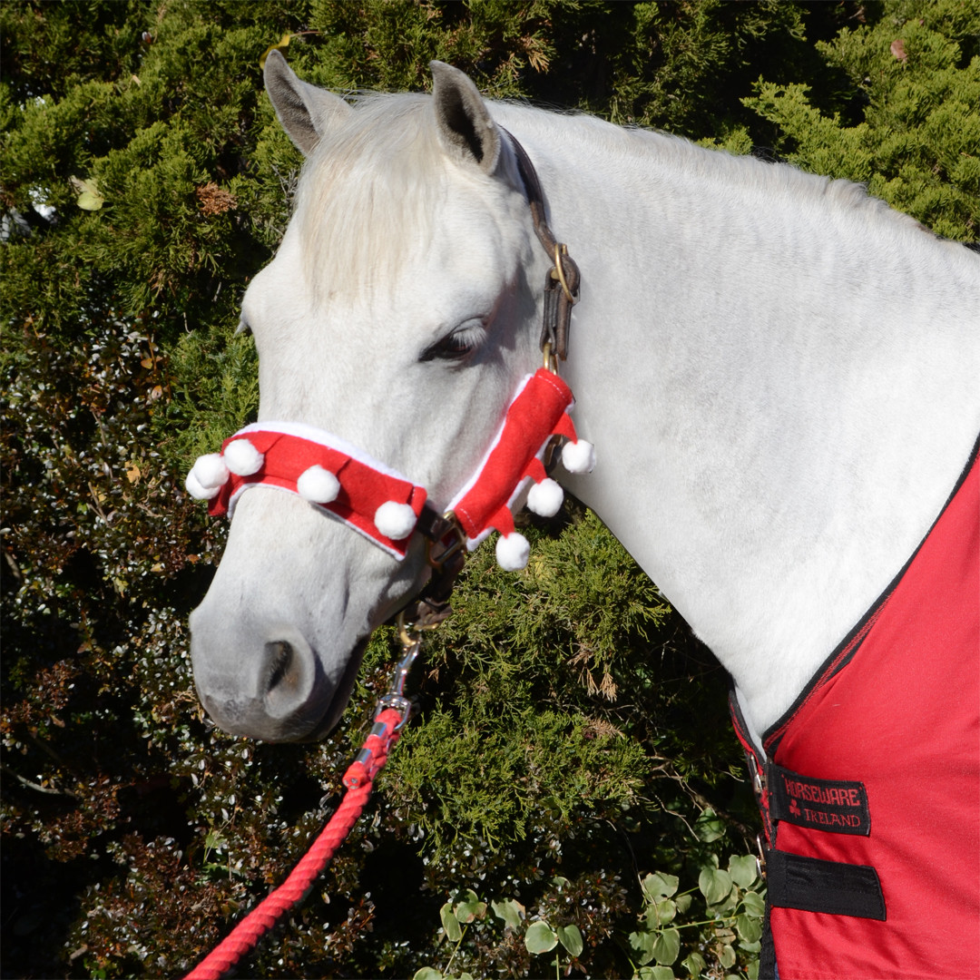 Holiday Horse Wear, Santa Halter Covers 3