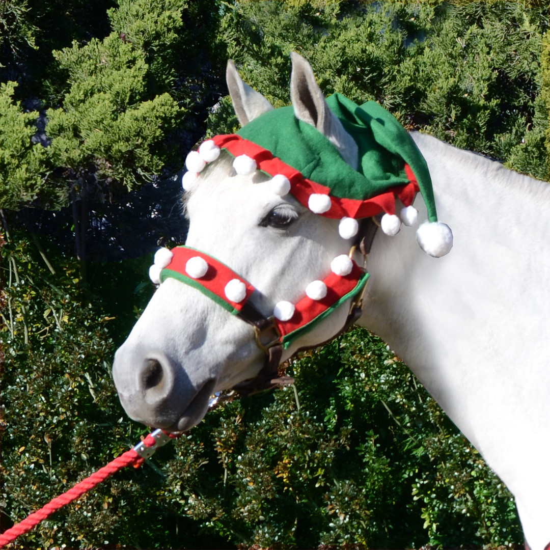 Customized Holiday Horse Wear Plush toy factory manufacturers From China | Yortoob 2