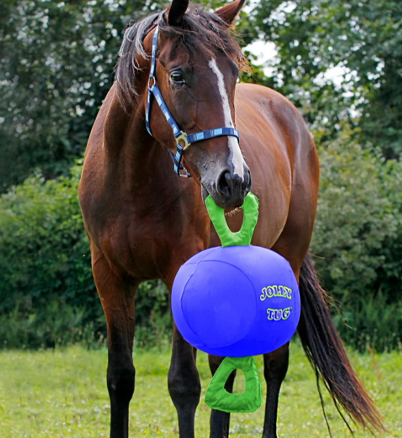Quality The Equine Jolly Tug Toy for horse Manufacturer | Yortoob 3