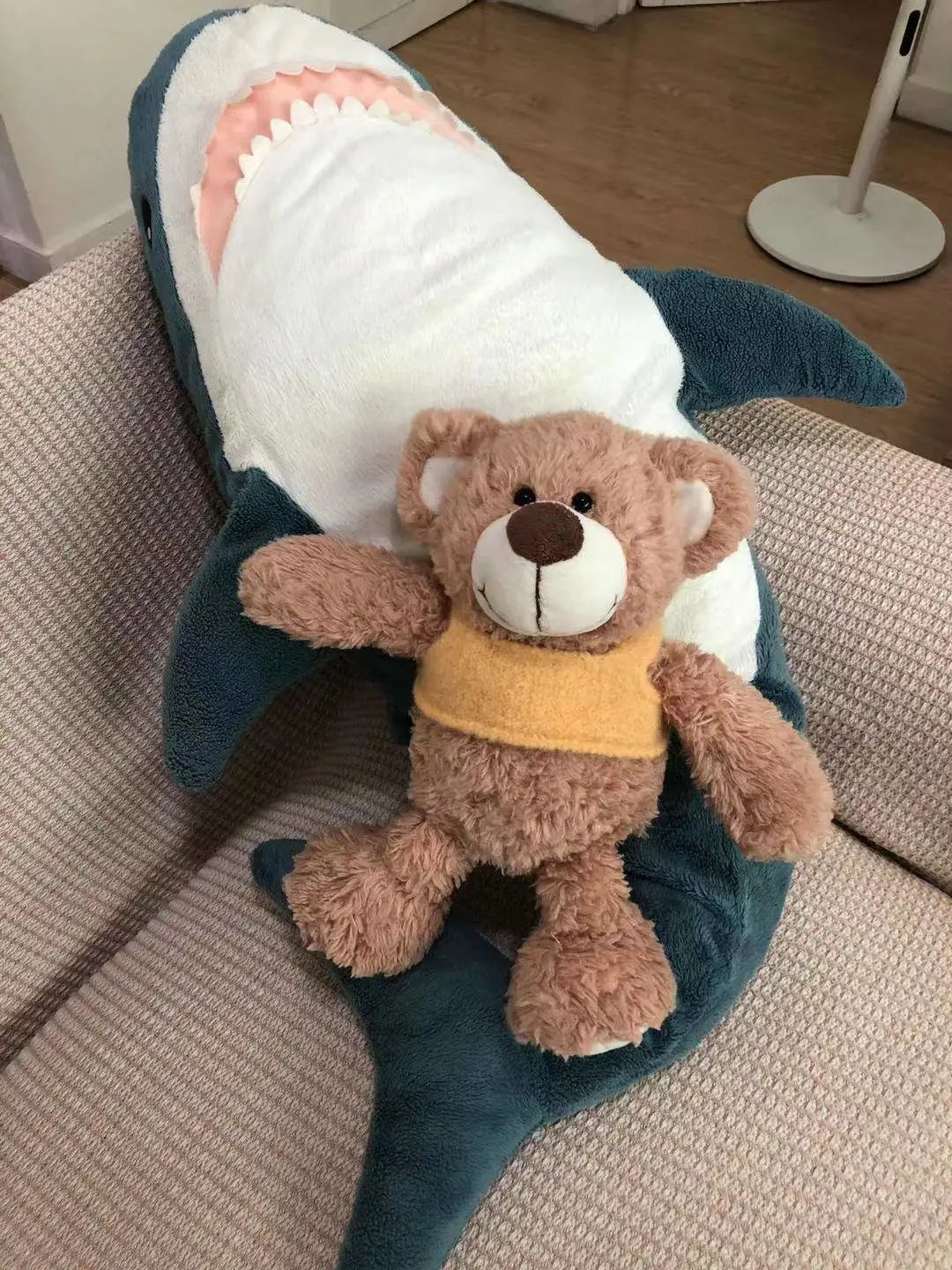 These young people believe that plush toys also have emotions and lives. 2