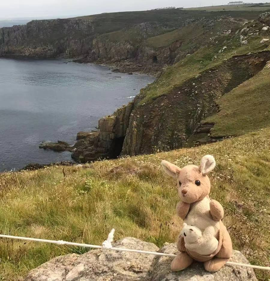 Why young people choose plush toys 1