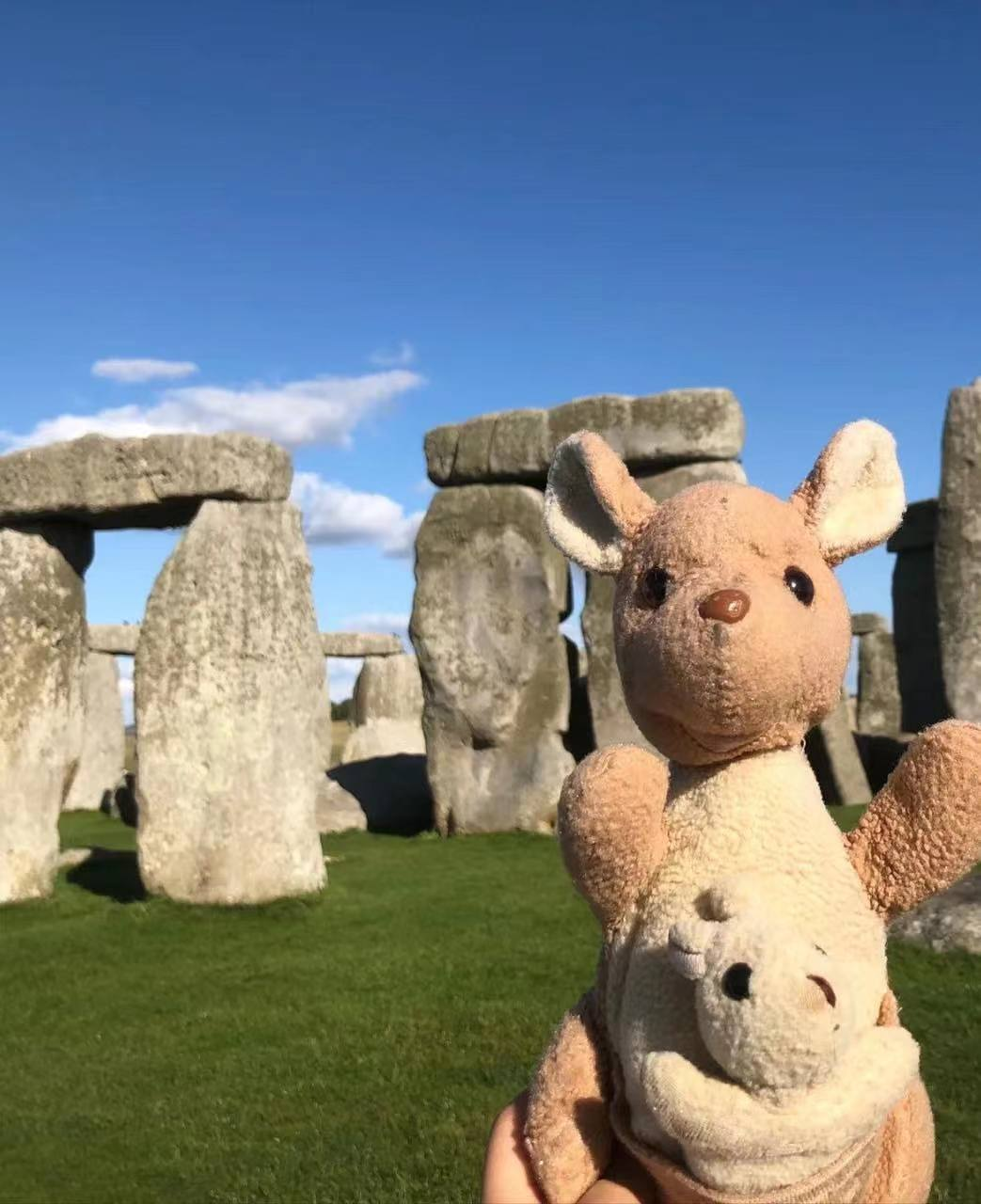 Why young people choose plush toys 2