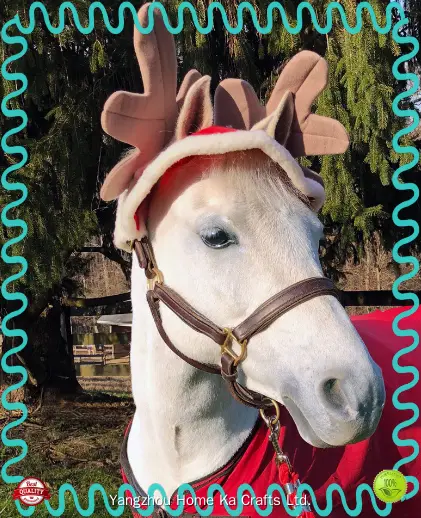 best wholesale dog supplies for business | Yortoob 1