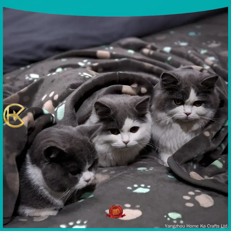 custom personalized pet blanket supply | Yortoob 1