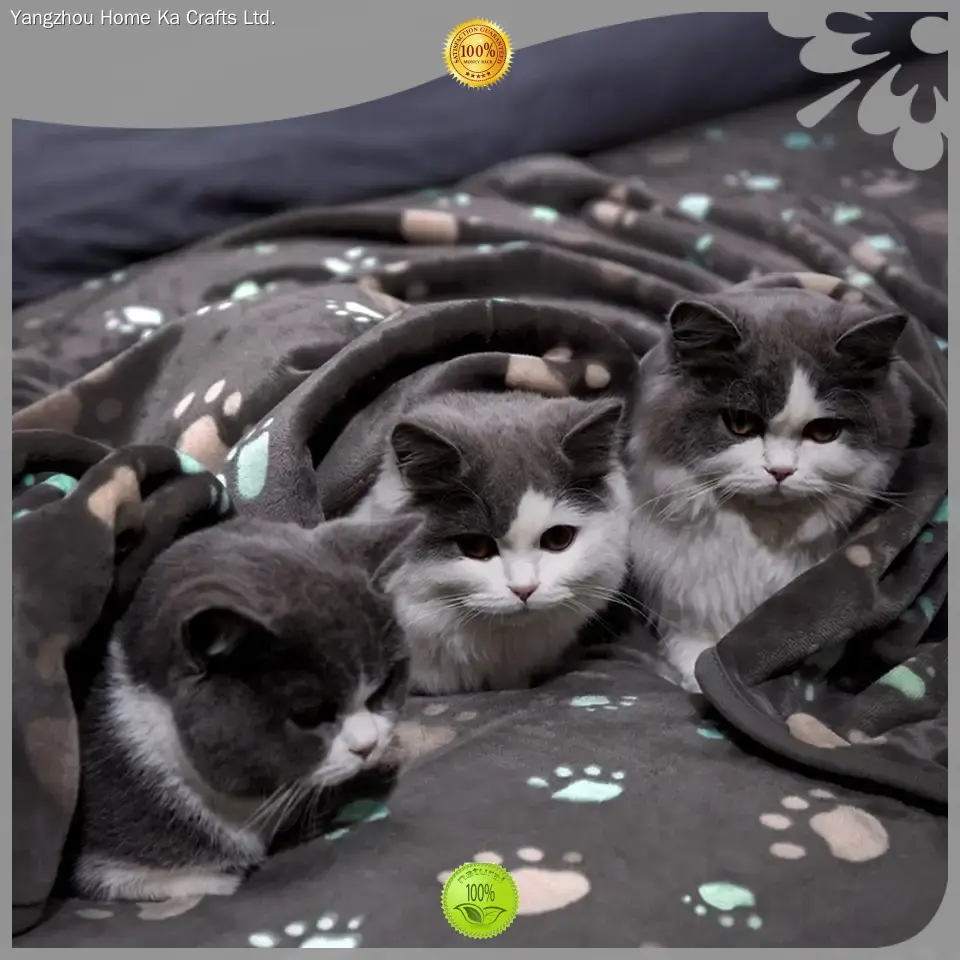 Custom personalized pet blanket vendor Manufacturer | Yortoob 1