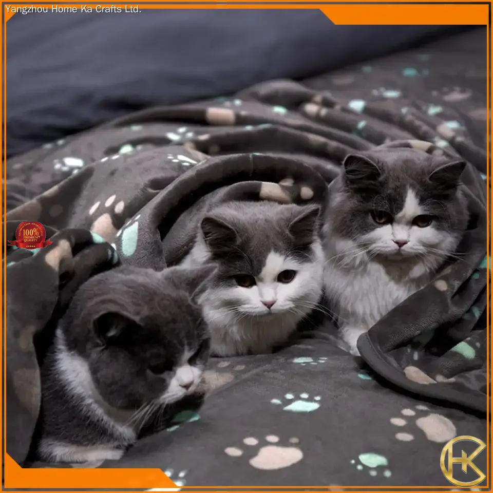 best custom pet blanket for business | Yortoob 1
