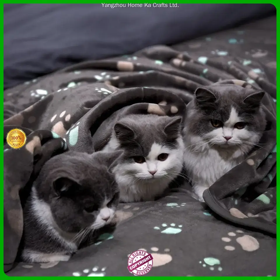 Custom wholesale pet blankets supply Manufacturer | Yortoob 1