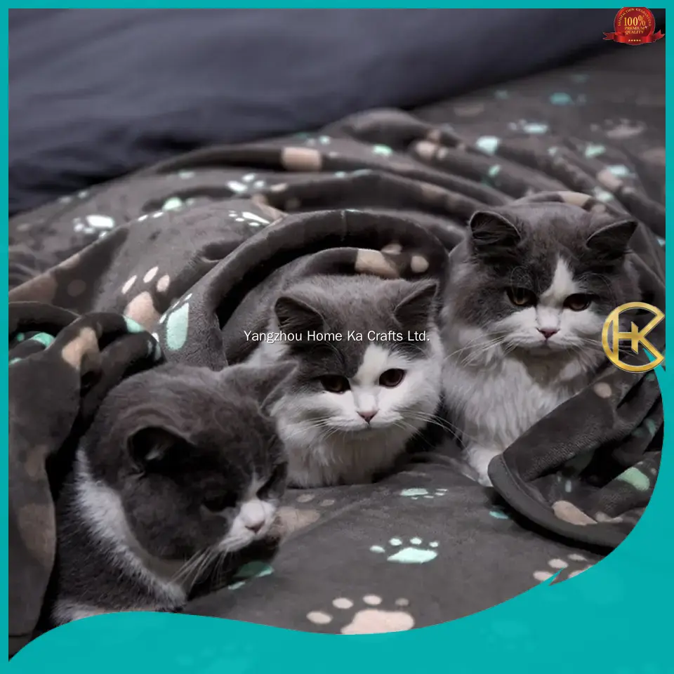 latest custom pet blanket vendor | Yortoob 1