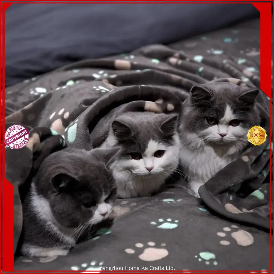 Custom wholesale pet blankets for business Manufacturer | Yortoob 1