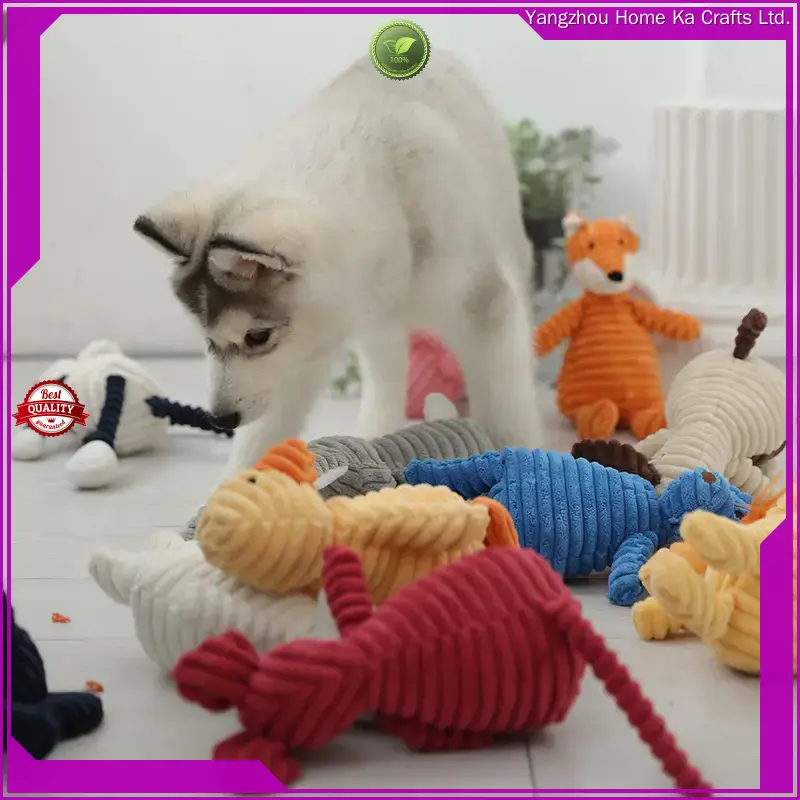 Custom pet supplies supplier company Manufacturer | Yortoob 1