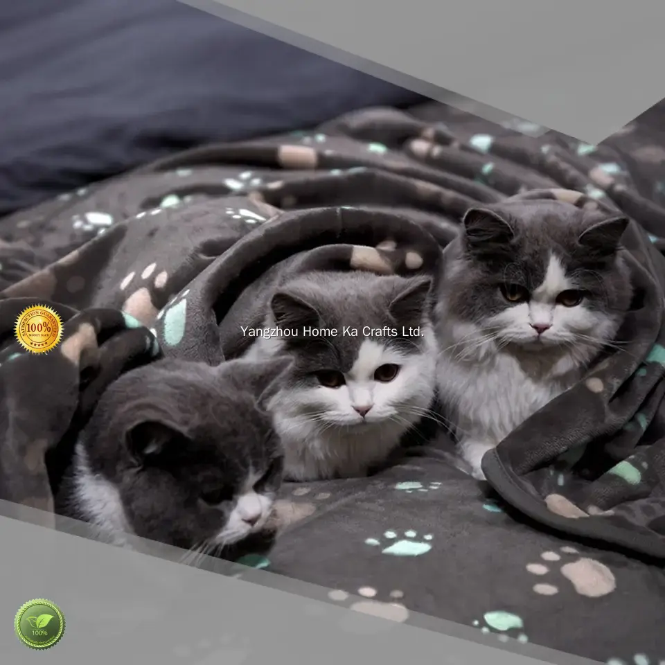 Custom personalised pet blanket factory Manufacturer | Yortoob 1