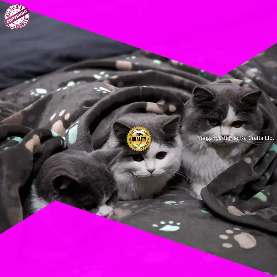 top personalized pet blanket company | Yortoob 1