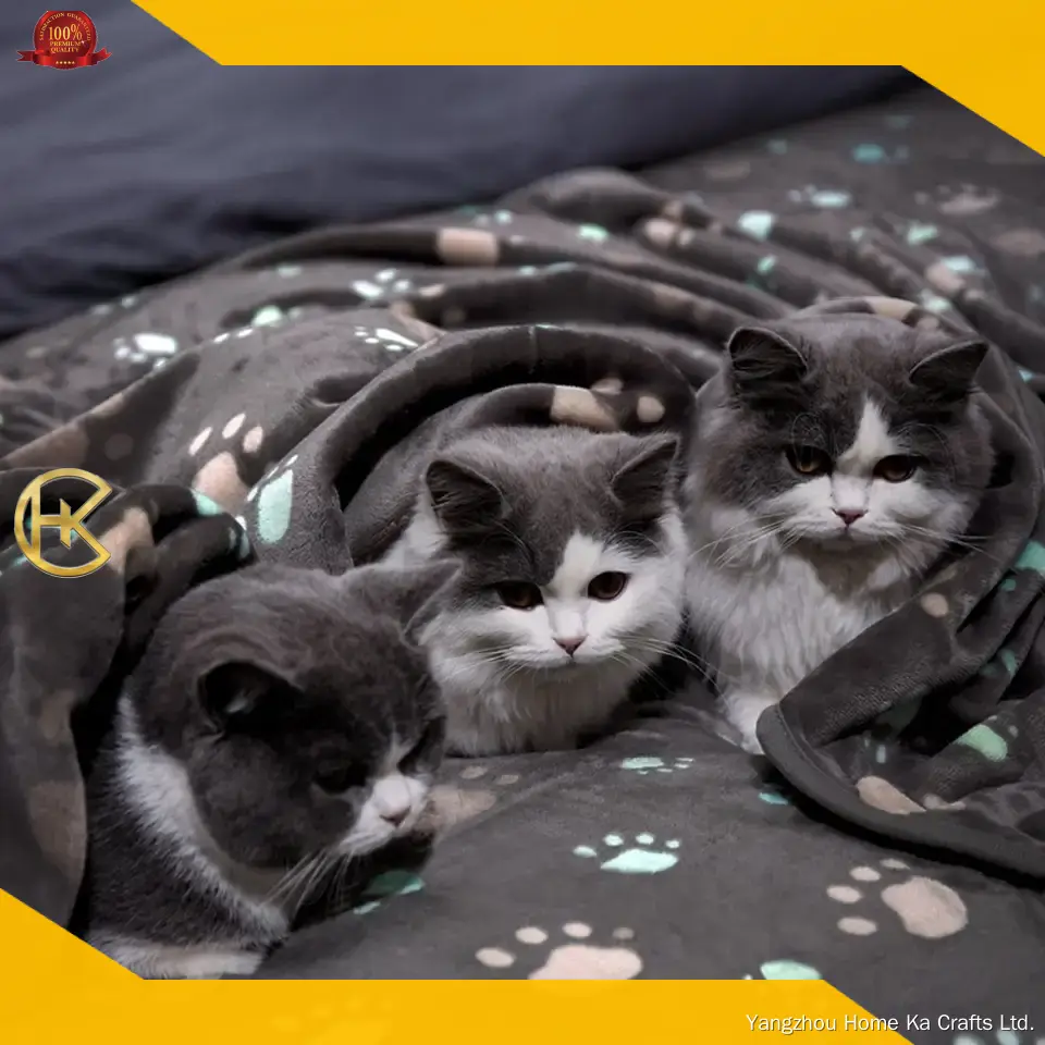 custom pet blanket at Wholesale Prices | Yortoob 1