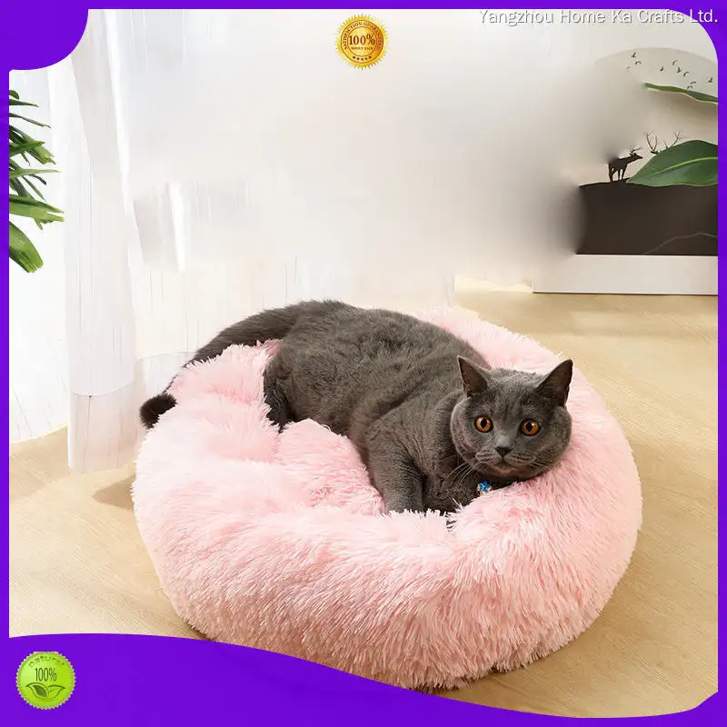 best chew toys for puppies at Wholesale Prices | Yortoob 1