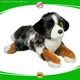Yortoob | high-quality pet toys wholesale suppliers suppliers 1