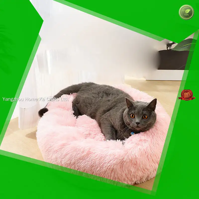 Yortoob | best pet toy manufacturer company 1