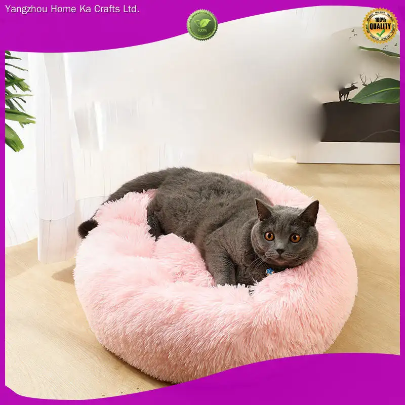 Custom wholesale dog toys manufacturers for business Manufacturer | Yortoob 1