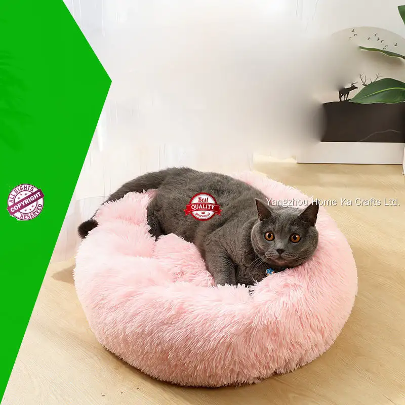 Yortoob | latest heartbeat teddy for puppy manufacturers 1