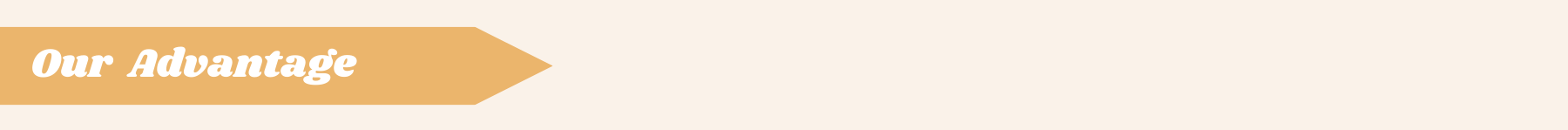 Custom​  High - Quality Personalized Octopus Plush Toy Giant Octopus Plush 150cm Low MOQ Stuffed Animal Factory 19